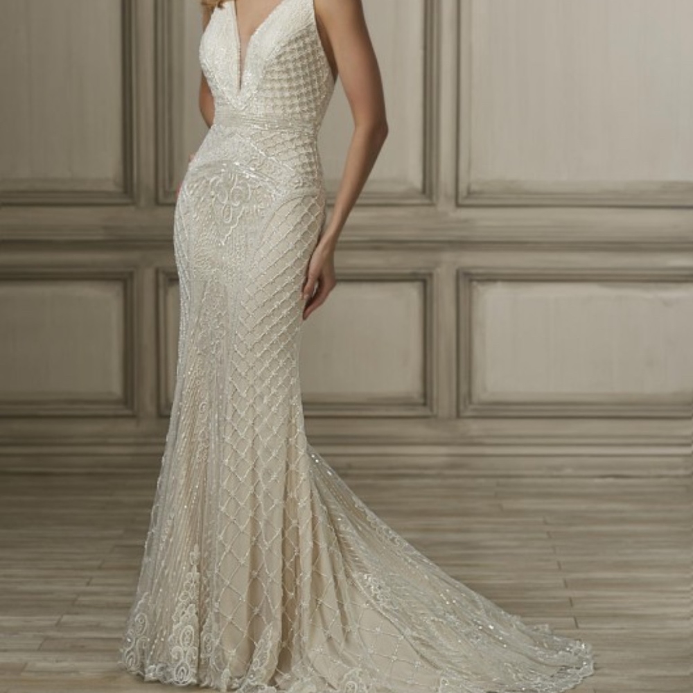 NWT Adrianna Papell Wedding Dress